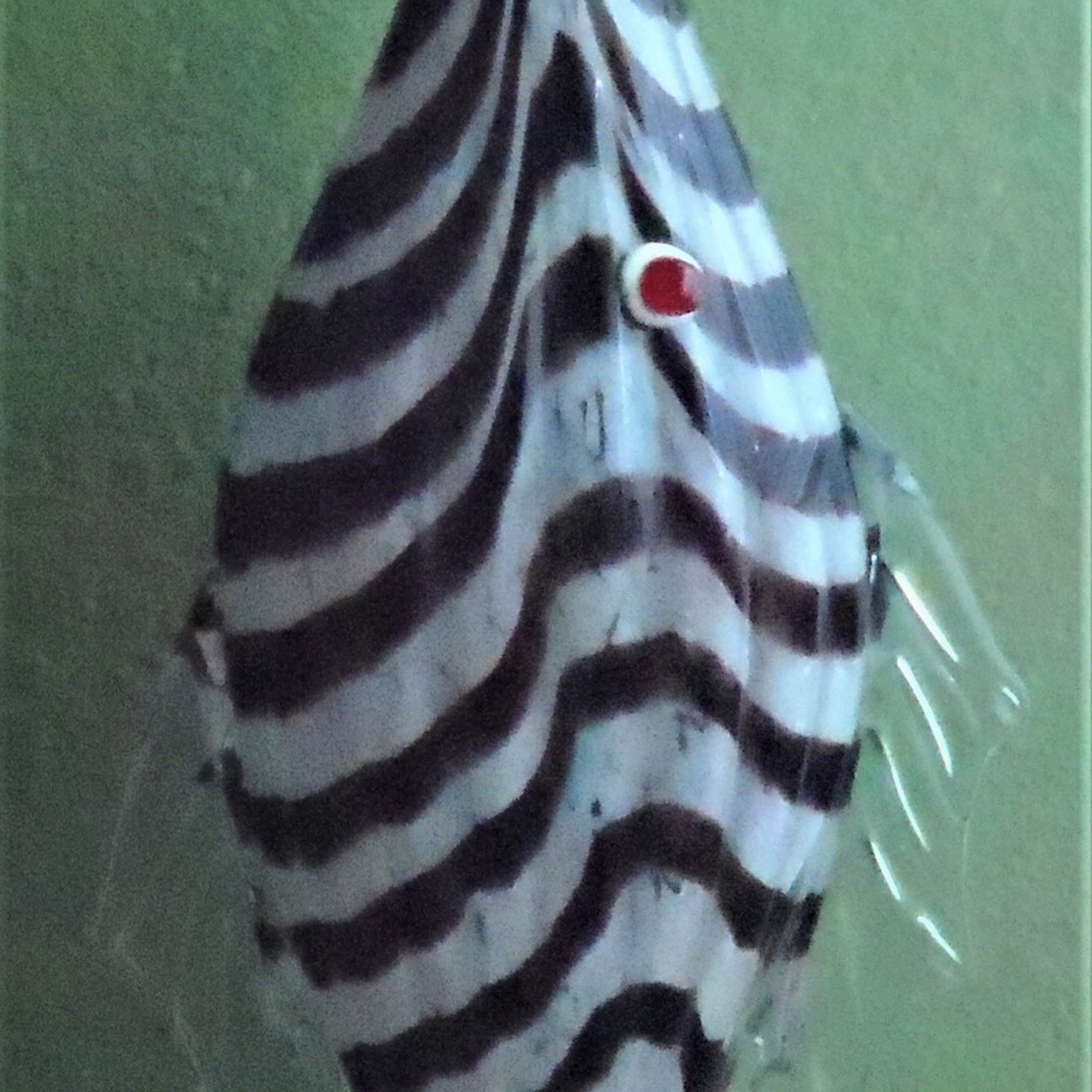Hand Blown Striped Amethyst Glass Fish Vase/Bottle - Picture 5 of 7